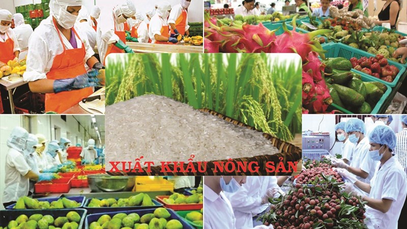 Thủ tướng Chính phủ chỉ đạo thúc đẩy sản xuất, lưu thông, xuất khẩu nông sản